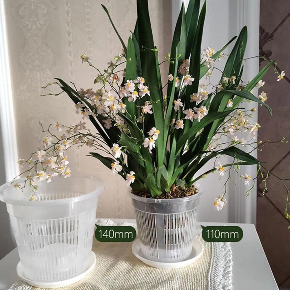 Mesh Pot Root Control Transpar - Aloe Vera Pot review and price