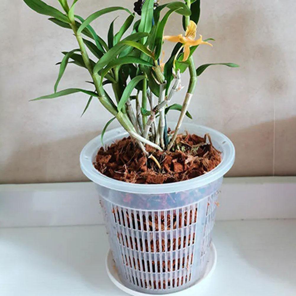 Mesh Pot Root Control Transpar - Aloe Vera Pot review and price