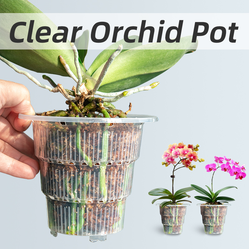 Meshpot Clear Plastic Orchid P - Aloe Vera Pot review and price