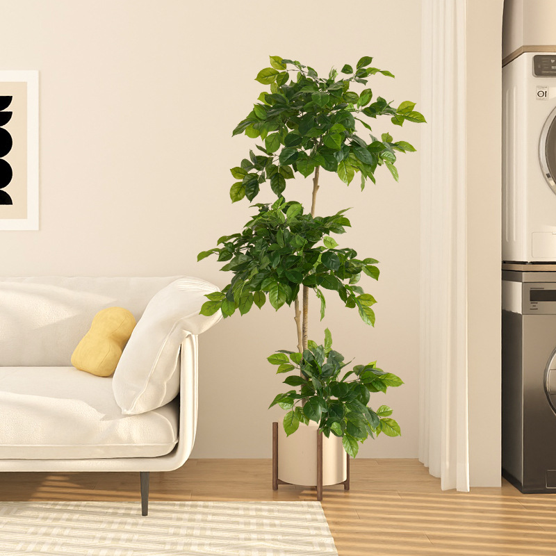 2-78in Large Fake Plants Artif - Dracaena Marginata review and price