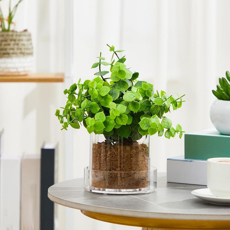Clear Plant Pots With Drainage - Aloe Vera Pot review and price
