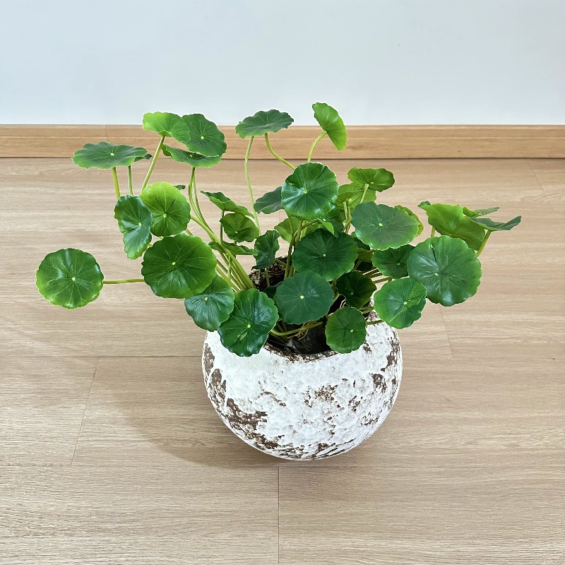 2pcs Artificial Pilea Peperomi - Pilea Peperomioides review and price