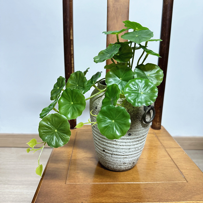 2pcs Artificial Pilea Peperomi - Pilea Peperomioides review and price