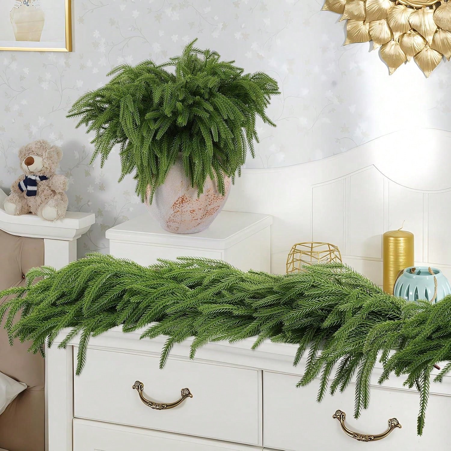 Christmas Norfolk Branches Rea - Dracaena Marginata review and price
