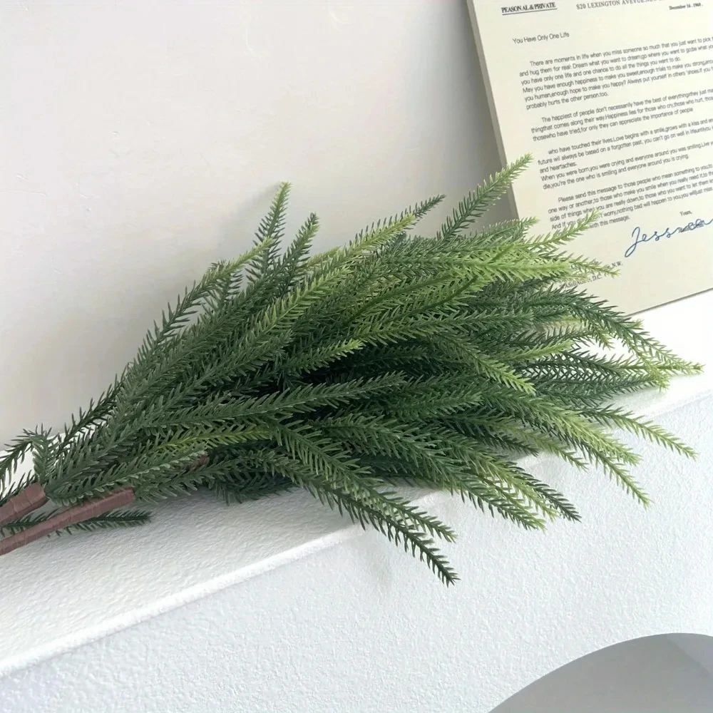 Christmas Norfolk Branches Rea - Dracaena Marginata review and price