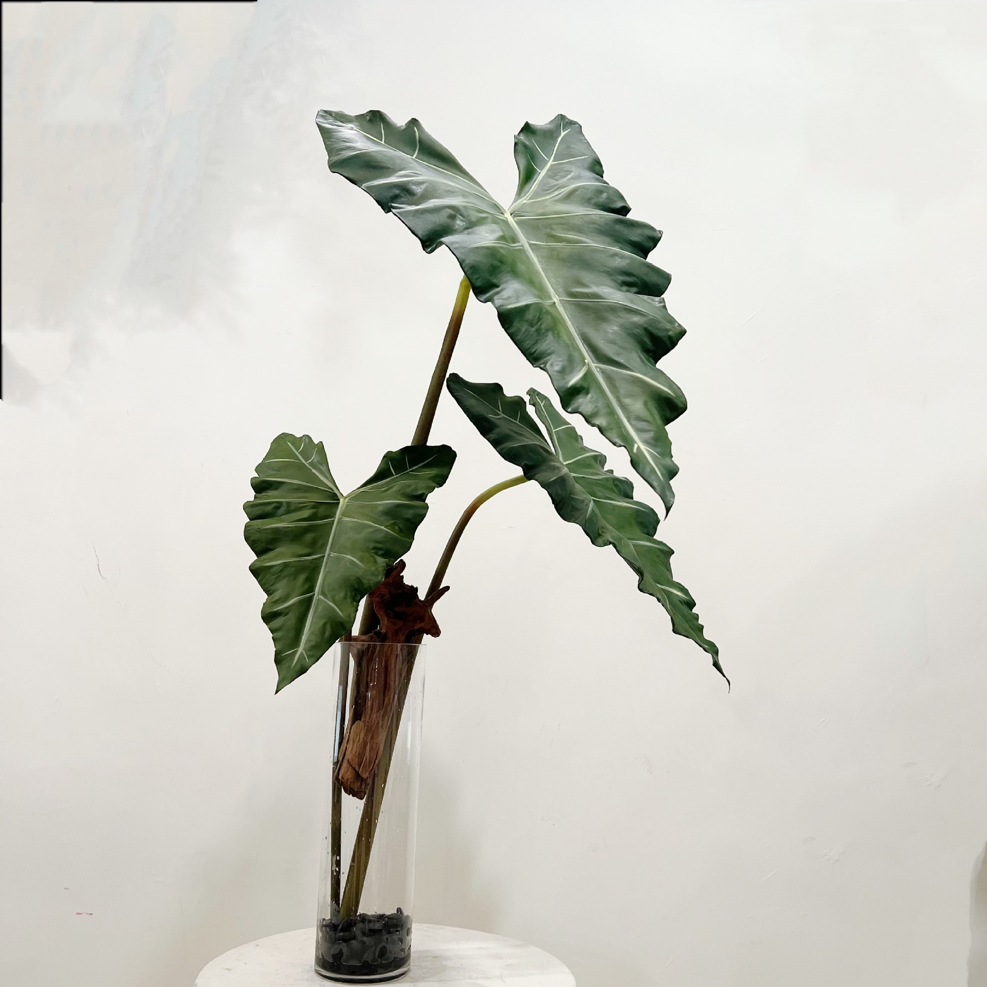 Simulated Long PU Hand-feel Gr - Dracaena Marginata review and price