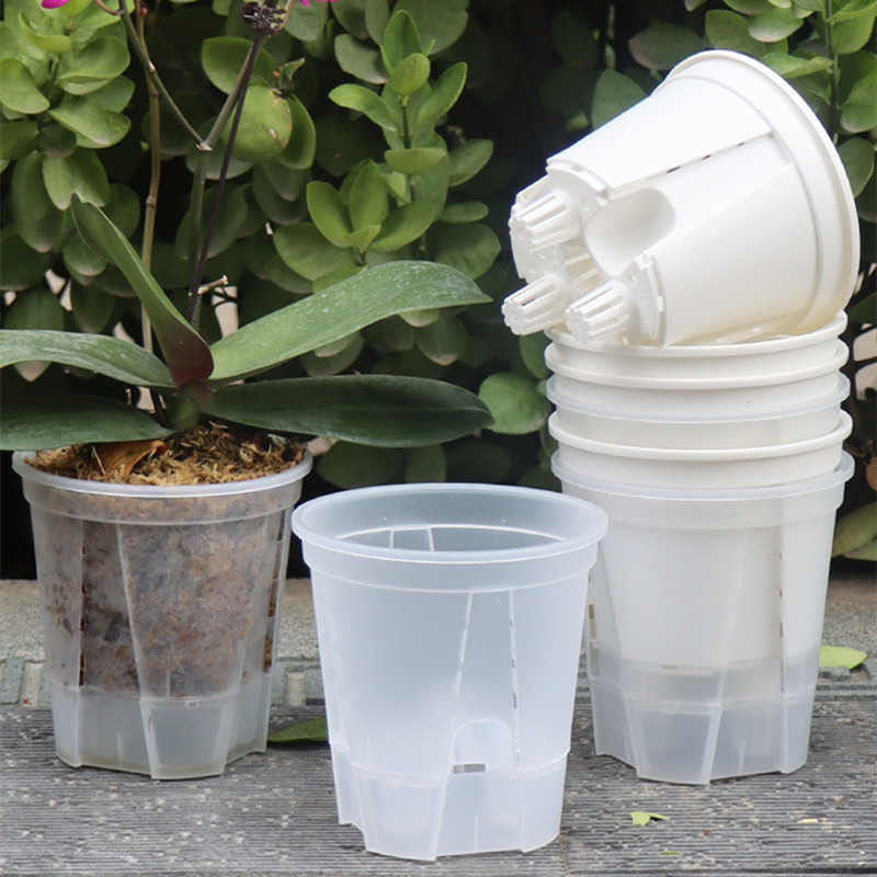 5pcs Transparent Orchid Pot wi - Aloe Vera Pot review and price